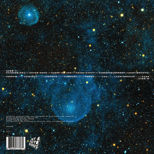 12 inch vinyl - Oslo Flow - Alx Plato - Space Vape